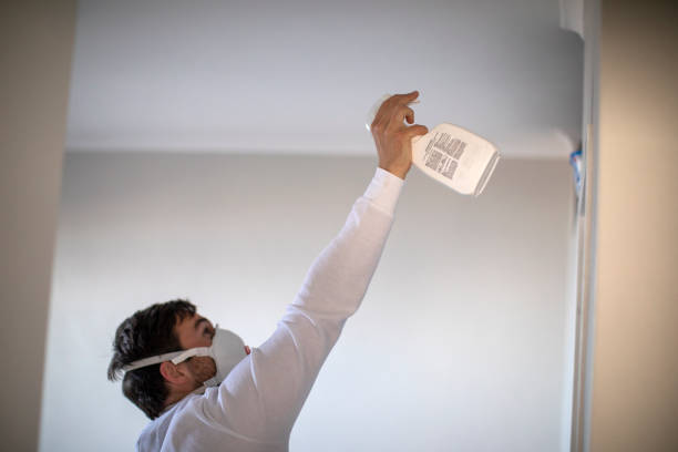 Best Preventive Mold Services in Mendon, UT