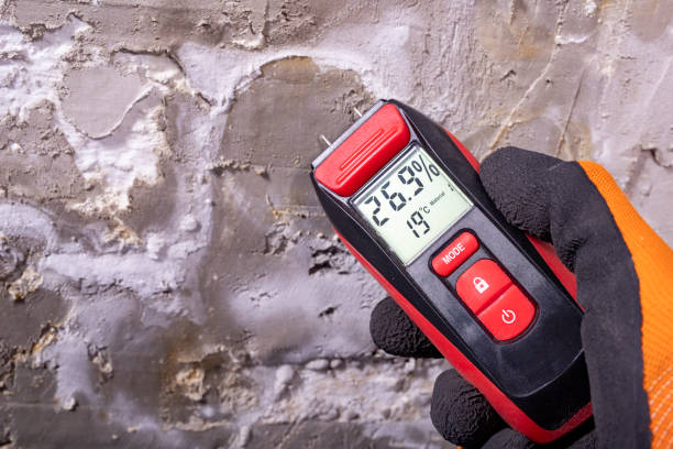 Best HVAC Mold Remediation in Mendon, UT